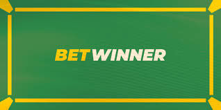 Everything You Need to Know About BetWinner apk 4